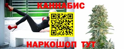 стафф Ставрополь