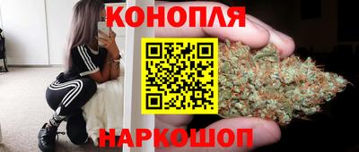 стафф Ставрополь
