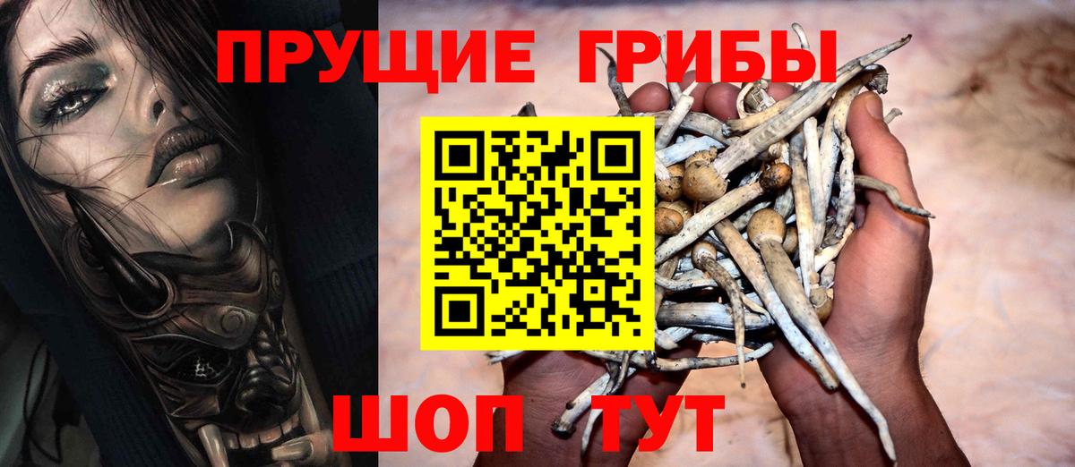 Муравленко  Псилоцибиновые грибы Cubensis  Галлюциногенные грибы мицелий  Вход с VPN 