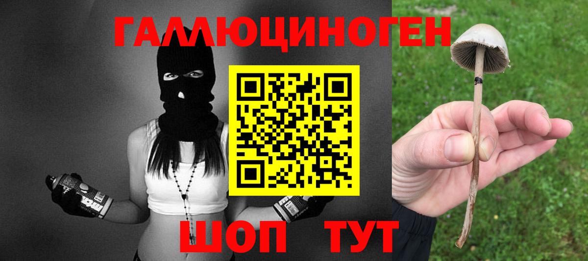Псилоцибиновые грибы мицелий Муравленко